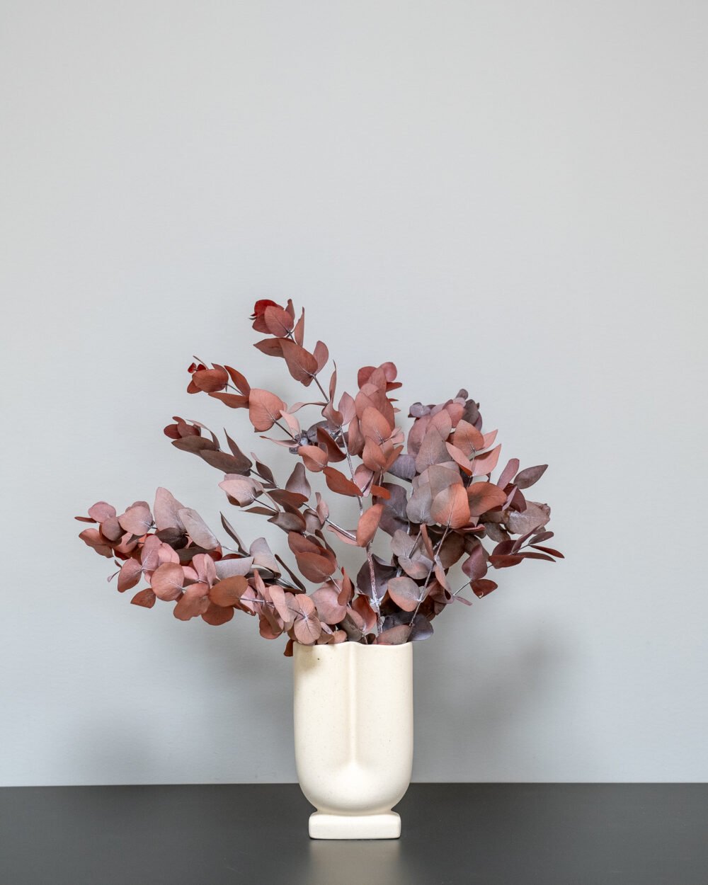 Eucalyptus Cinerea - konserverede planter - Image 5