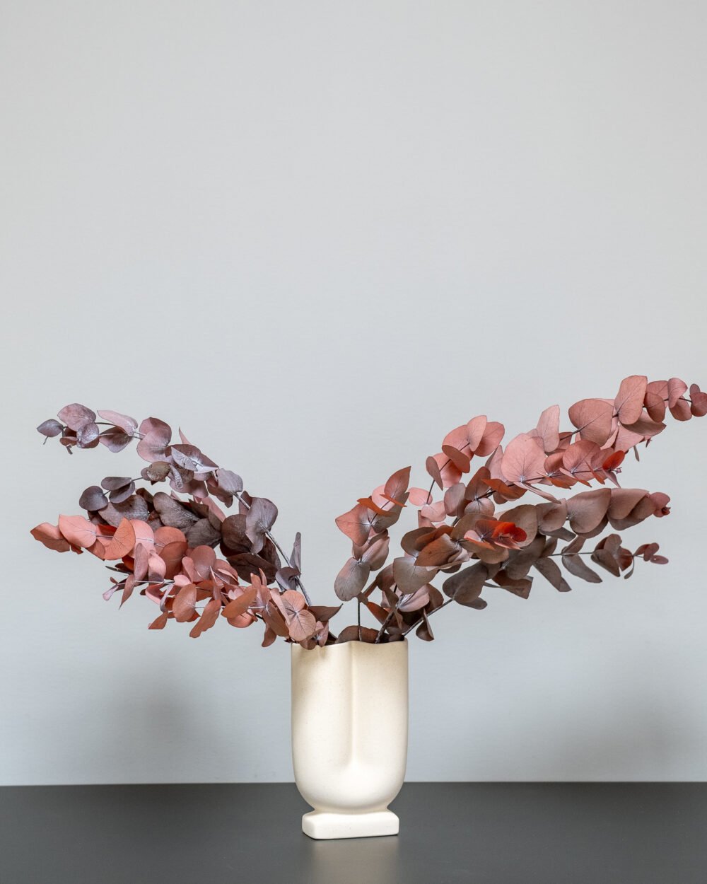 Eucalyptus Cinerea - konserverede planter - Image 4