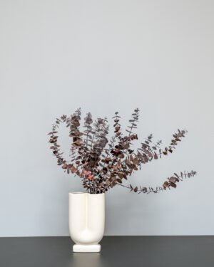 Forever Flora Dk