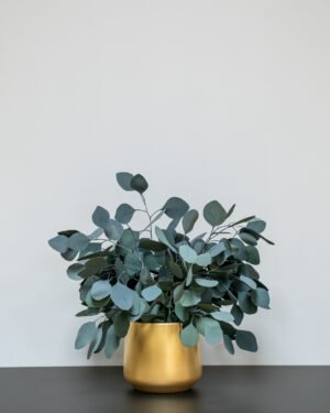 Forever Flora Dk
