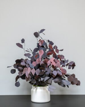 Forever Flora Dk