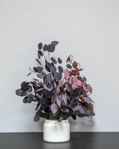 Alternative view of Eksklusiv Konserveret Eucalyptus Populus Potteplante – Naturtro Skønhed (70 cm)