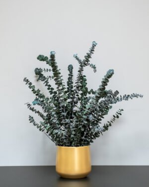 Forever Flora Dk