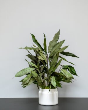 Forever Flora Dk