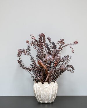 Forever Flora Dk