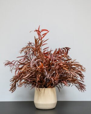 Eksklusiv Konserveret Eucalyptus Nicoli Potteplante – Naturtro Design (60/80 cm) 12 Forever Flora Dk