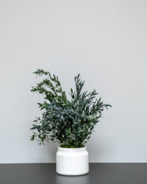 Forever Flora Dk