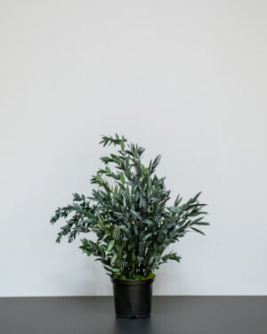 Forever Flora Dk