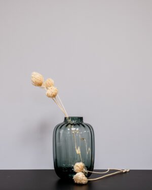 Forever Flora Dk