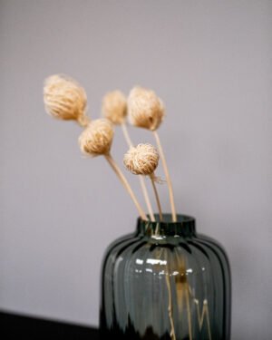 Forever Flora Dk