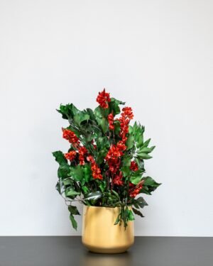Forever Flora Dk