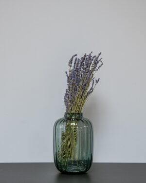 Forever Flora Dk