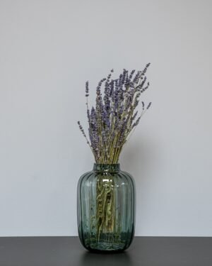 Tørret Lavendel