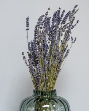 Forever Flora Dk