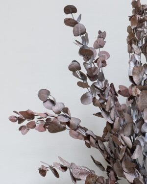 Forever Flora Dk