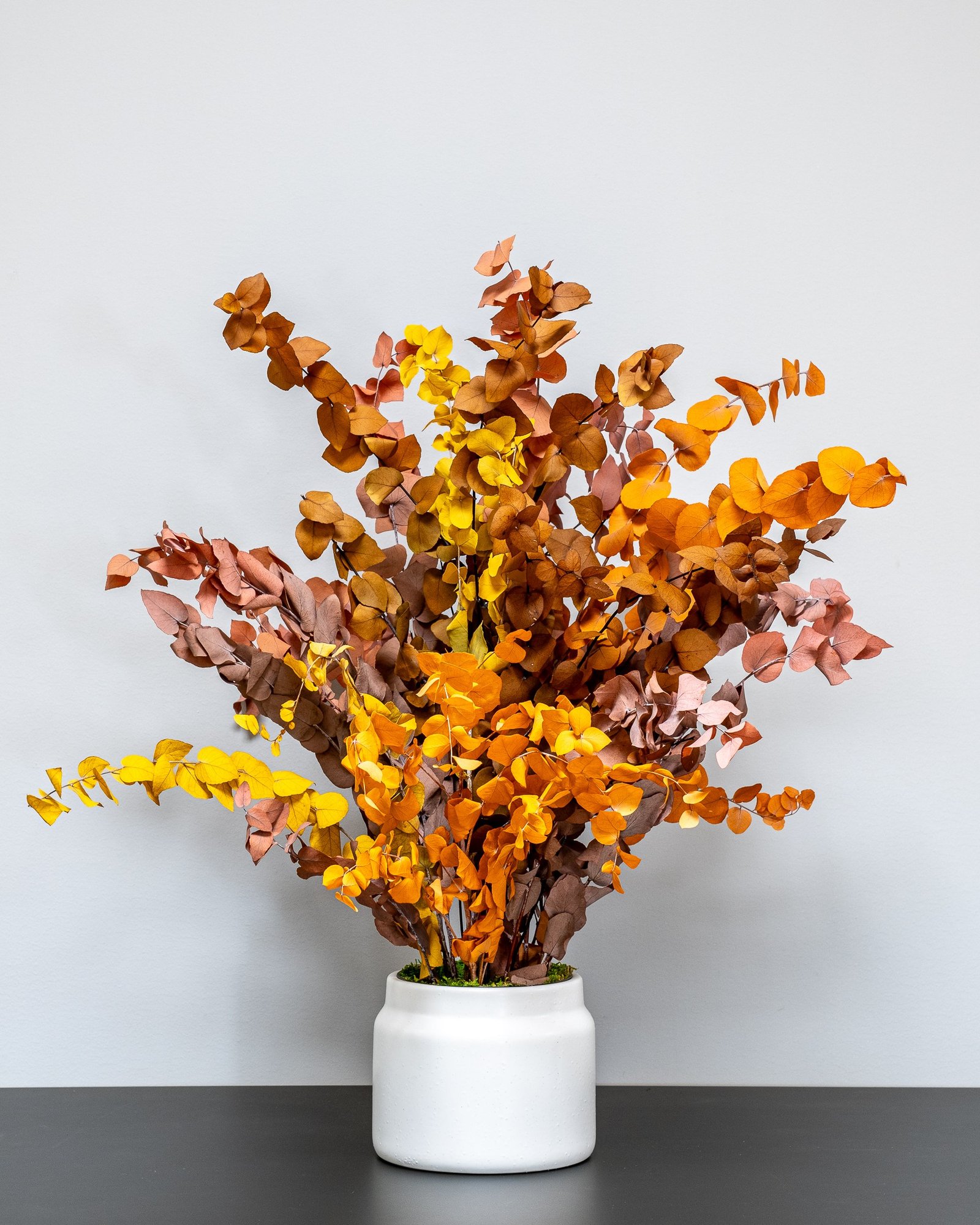 Vedligeholdelsesfri Eucalyptus Stuartiana i Kruke - Billede 3