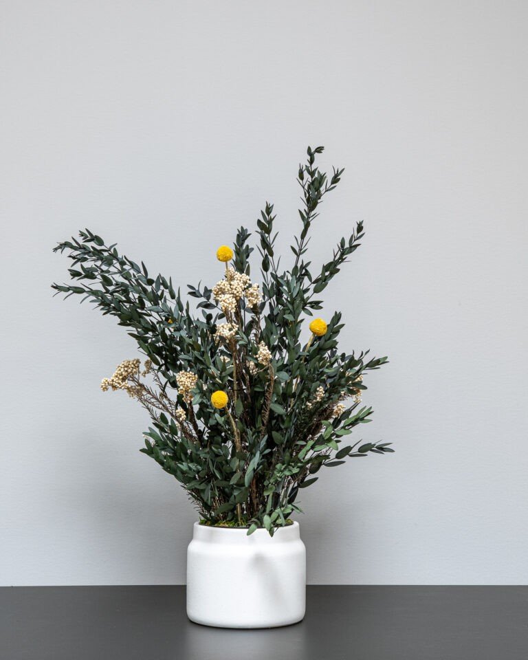 Alternative view of Vedligeholdelsesfri Potteplante - Konserveret Sommer Parvifolia