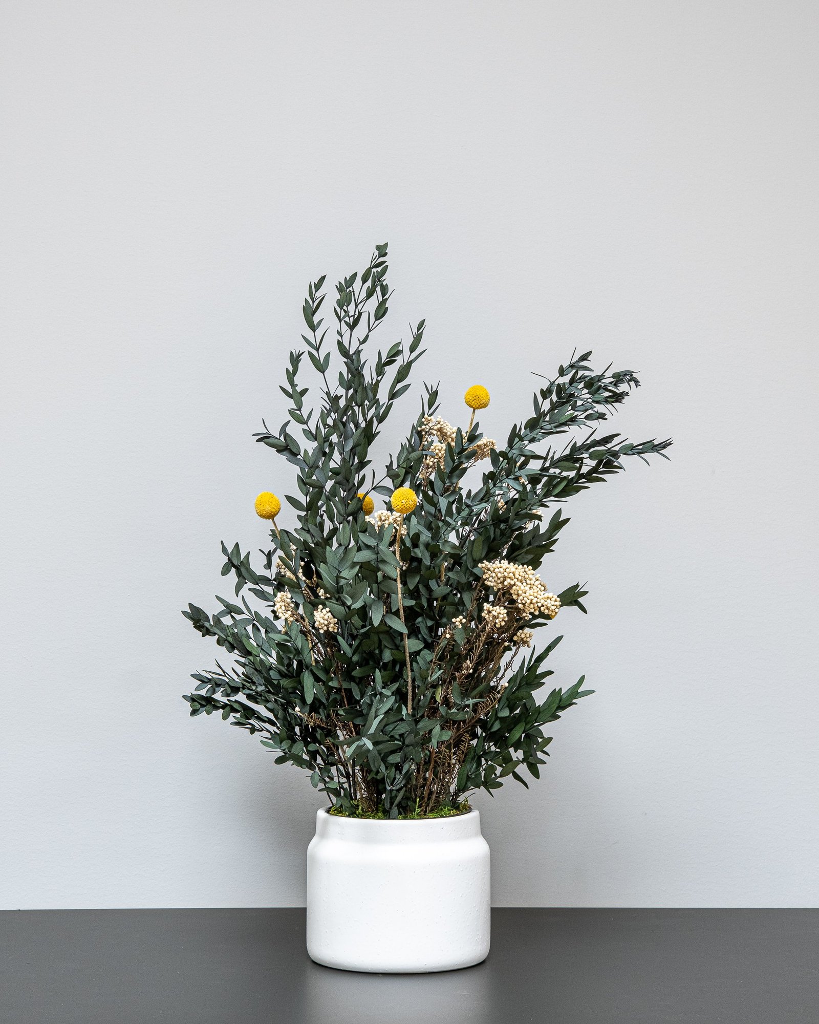 Vedligeholdelsesfri Potteplante