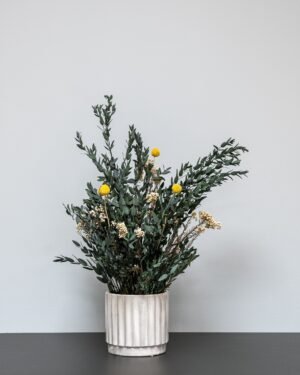 Vedligeholdelsesfri Potteplante - Konserveret Sommer Parvifolia 8 Forever Flora Dk
