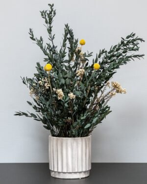Vedligeholdelsesfri Potteplante - Konserveret Sommer Parvifolia 7 Forever Flora Dk