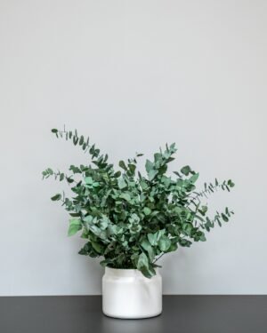 Forever Flora Dk