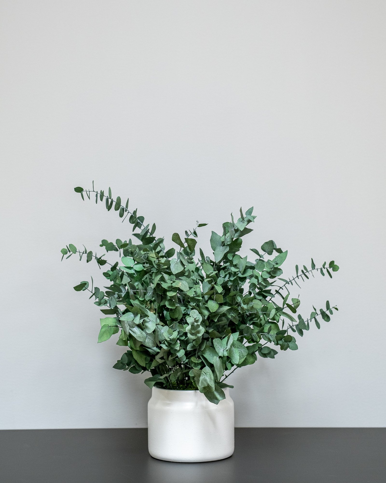 Vedligeholdelsesfri Eucalyptus Stuartiana i Kruke - Billede 4