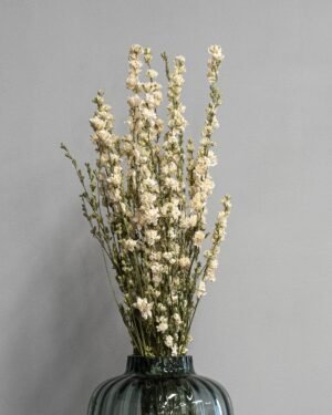Forever Flora Dk