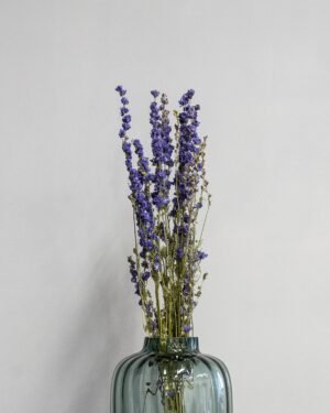 Forever Flora Dk