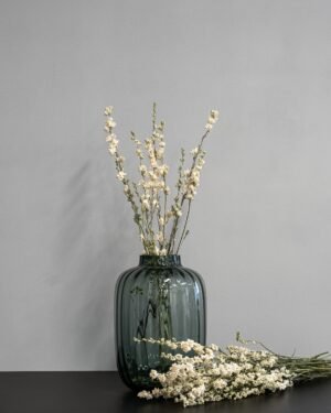 Forever Flora Dk