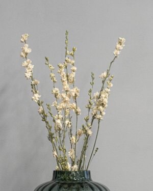 Forever Flora Dk