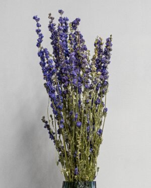 Forever Flora Dk