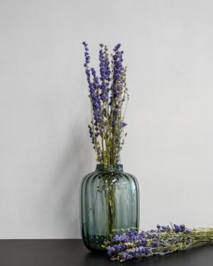 Forever Flora Dk