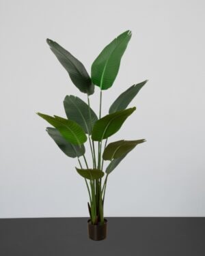 Kunstig Strelitzia