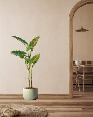 Forever Flora Dk