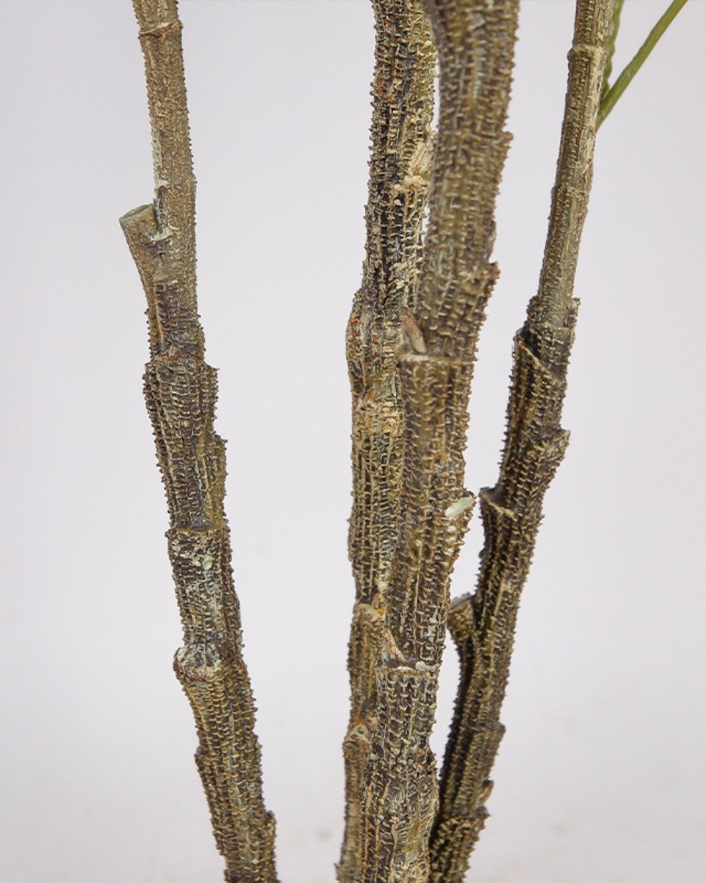 Kunstigt Oliventræ (90/110/140 cm) | Naturtro Middelhavsstemning 6 Kunstigt Oliventræ (90/110/140 cm) | Naturtro Middelhavsstemning - Billede 6