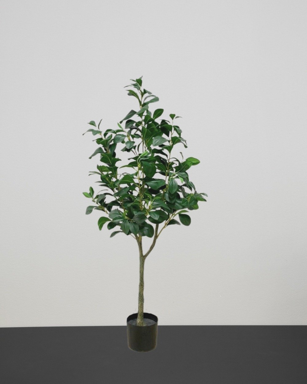 Kunstigt Ficus