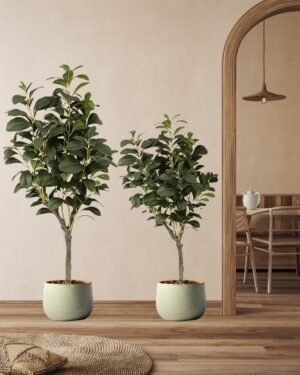 Alternative view of Eksklusivt Kunstigt Ficus Træ i Potte – Naturtro & Frodigt (120/150 cm)