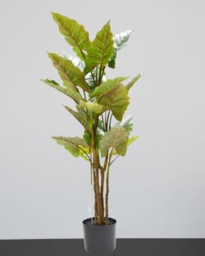 Alternative view of Eksklusivt Kunstig Colocasia Træ i Potte – Naturtro & Storslået (150/200 cm)