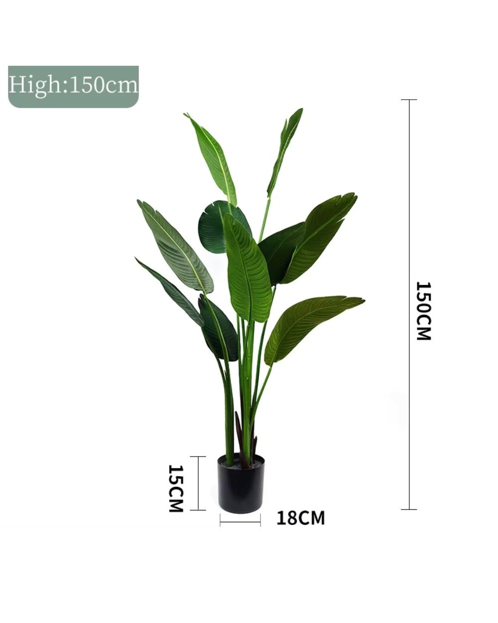 Kunstig Strelitzia (Paradisfugleplante) – Naturtro & Vedligeholdelsesfri (90/160 cm) 4 Kunstig Strelitzia (Paradisfugleplante) – Naturtro & Vedligeholdelsesfri (90/160 cm) - Billede 4