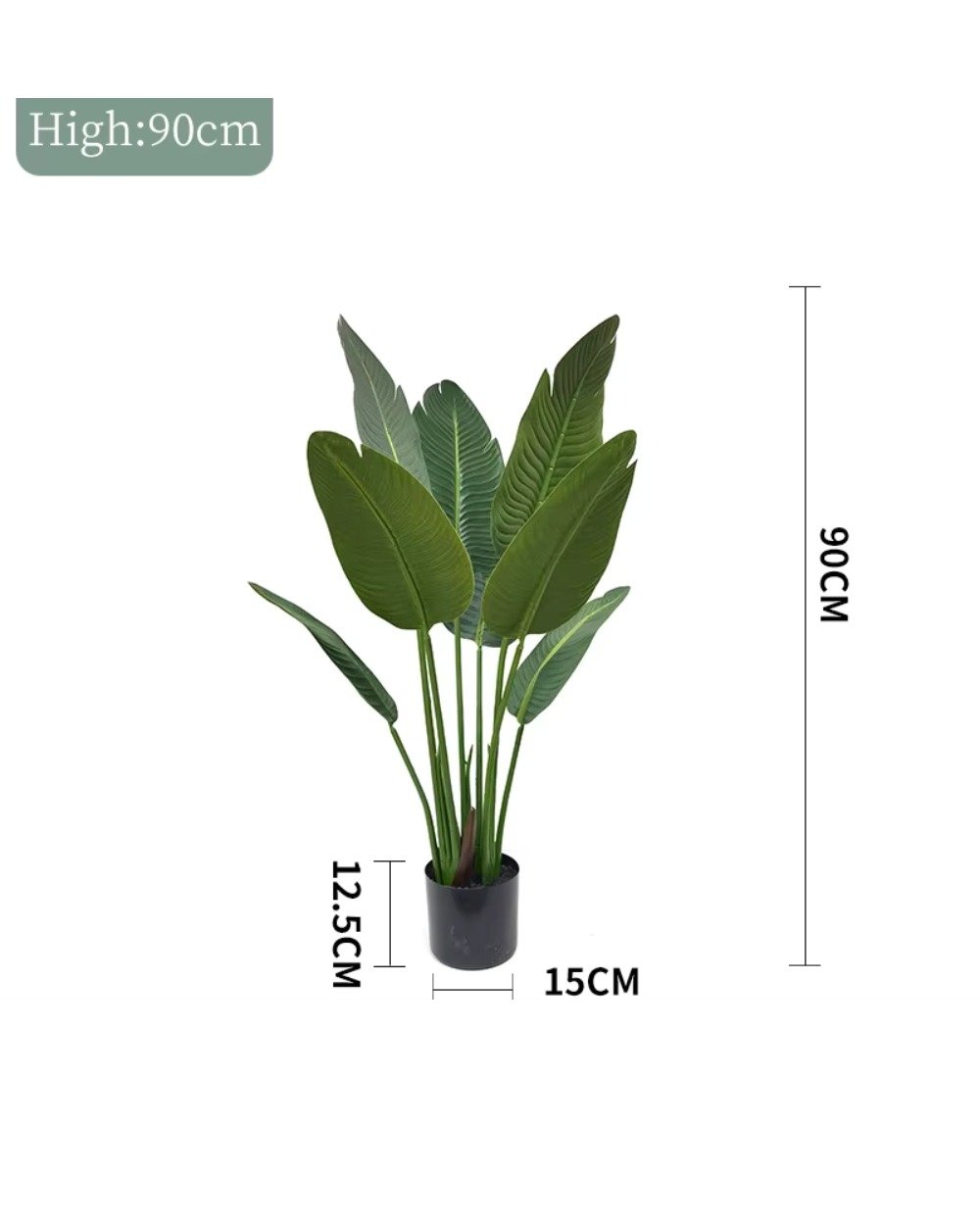 Kunstig Strelitzia (Paradisfugleplante) – Naturtro & Vedligeholdelsesfri (90/160 cm) 5 Kunstig Strelitzia (Paradisfugleplante) – Naturtro & Vedligeholdelsesfri (90/160 cm) - Billede 5