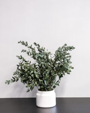 Potteplante Konserveret Gunny