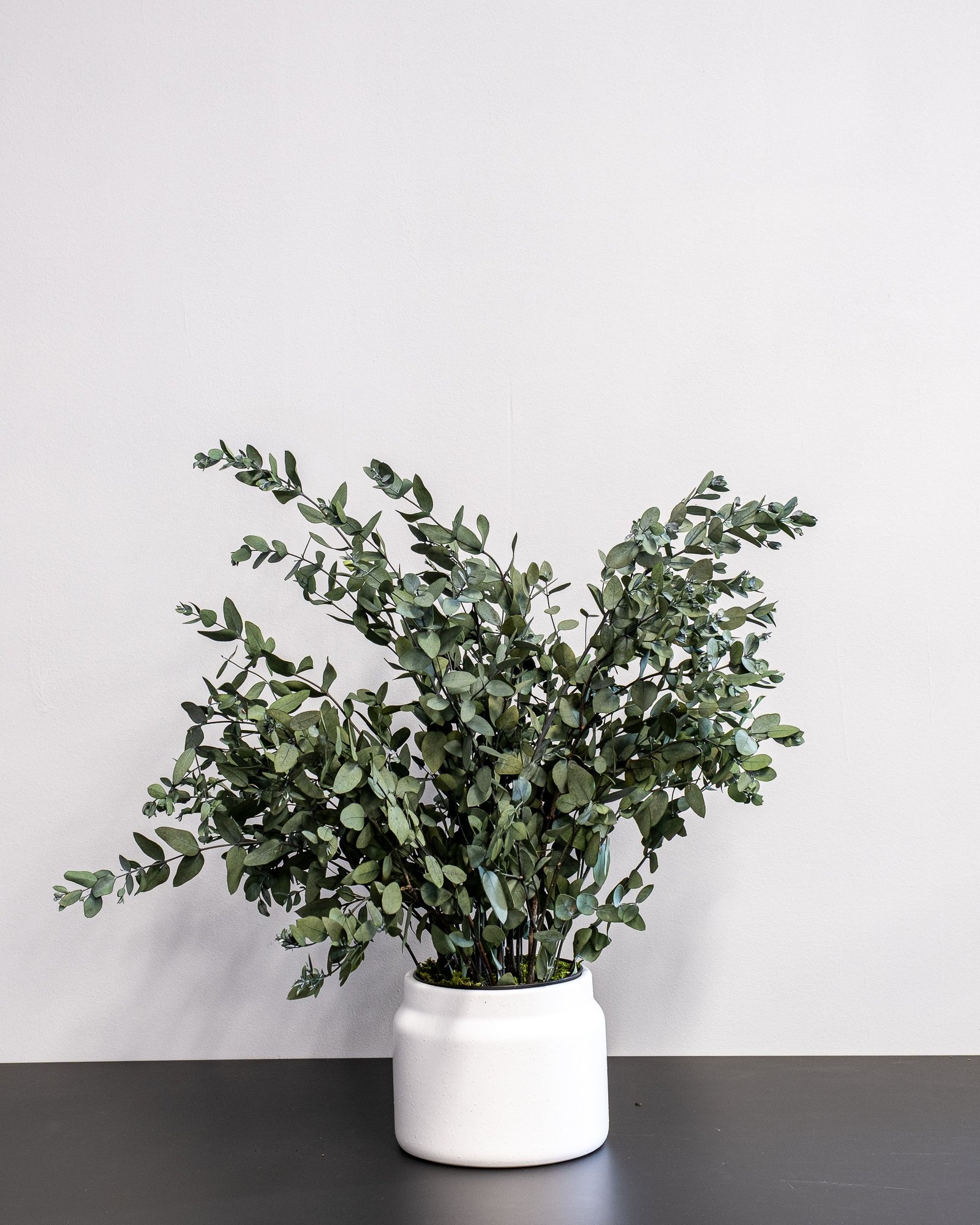 Potteplante Konserveret Gunny