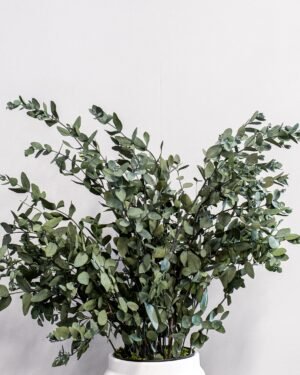 Alternative view of Potteplante Konserveret Gunny