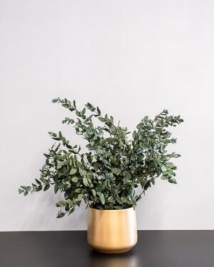Forever Flora Dk