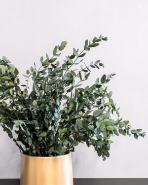 Forever Flora Dk