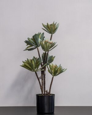 Forever Flora Dk