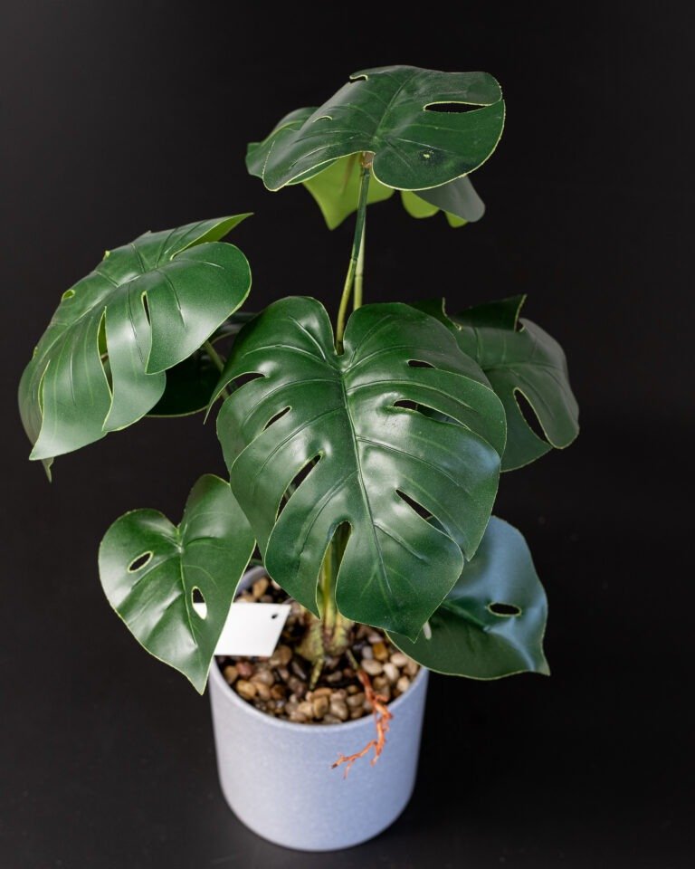 Eksklusiv Kunstig Monstera i Potte – Naturtro Design (45 cm) 7 Forever Flora Dk