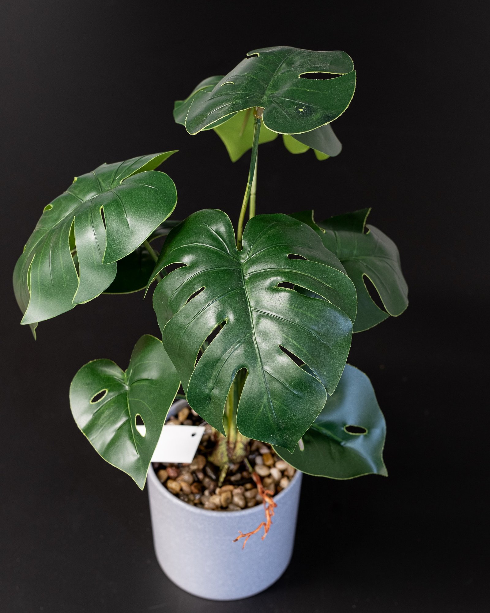 Eksklusiv Kunstig Monstera i Potte – Naturtro Design (45 cm) 4 Eksklusiv Kunstig Monstera i Potte – Naturtro Design (45 cm) - Billede 4