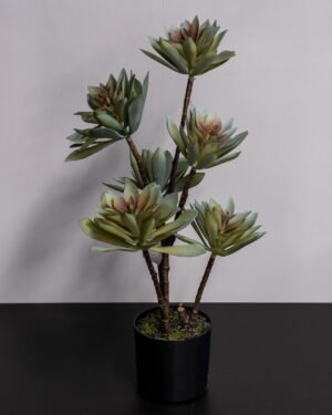 Forever Flora Dk