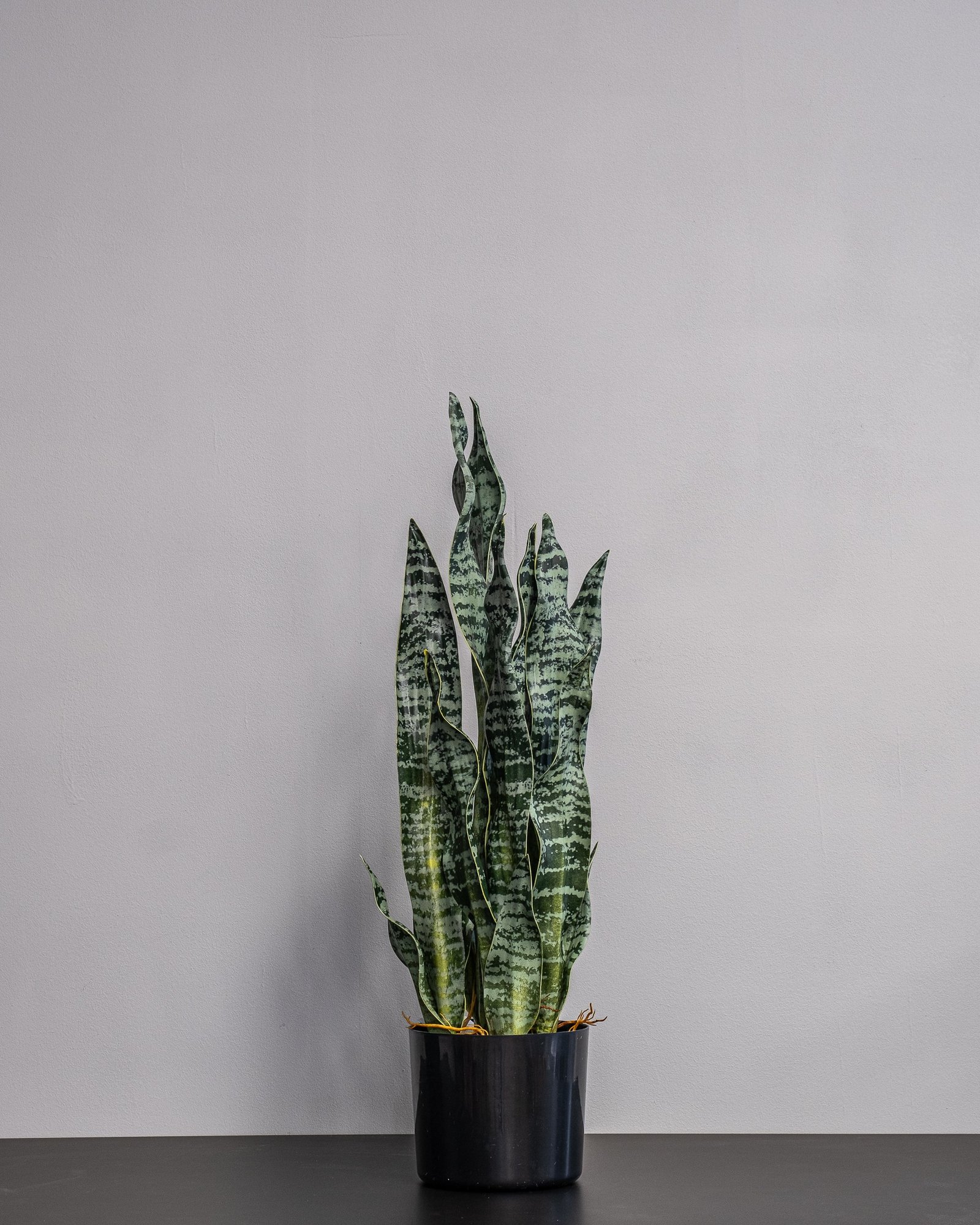 Kunstig Sansevieria